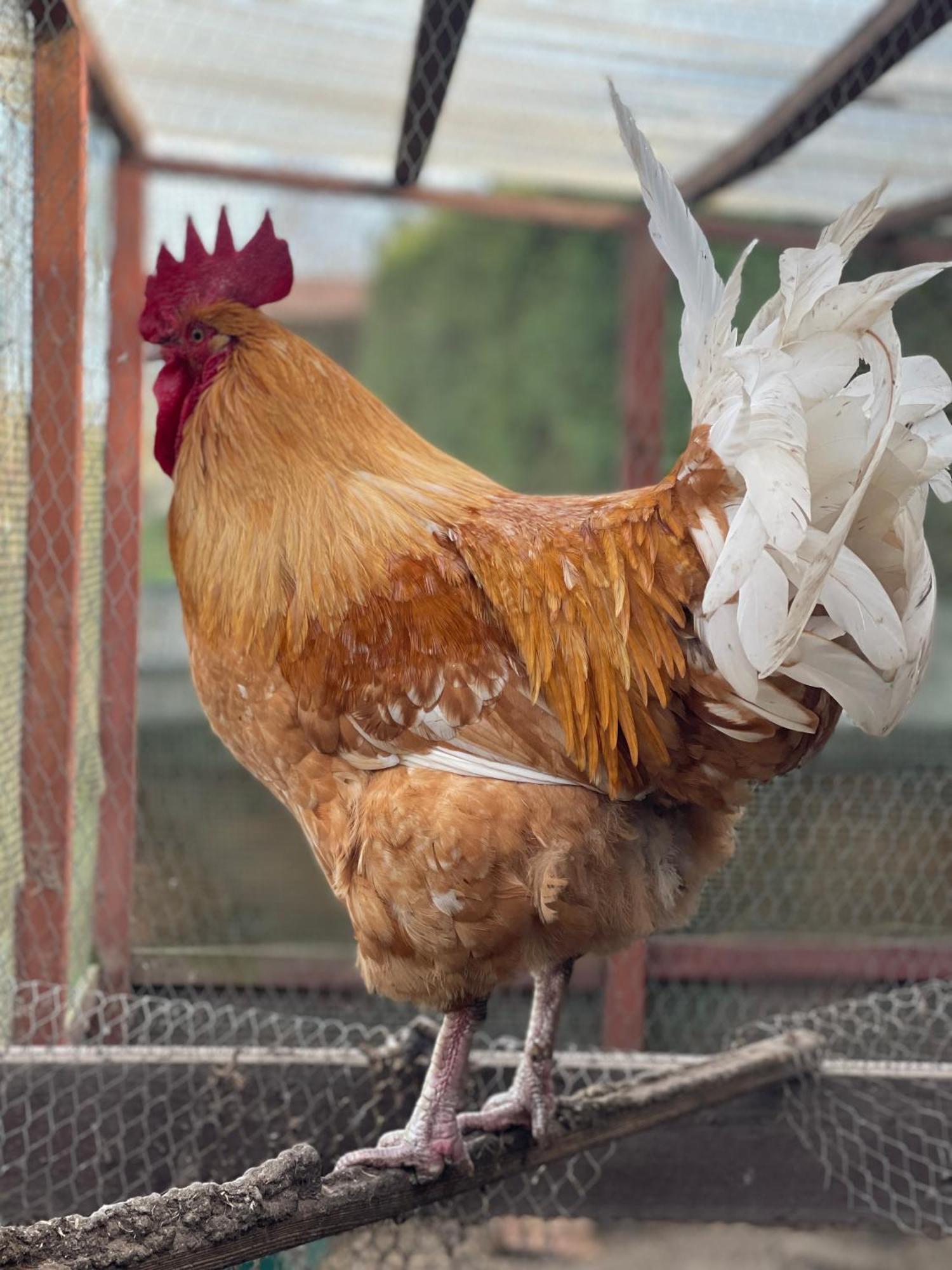 Agro Na Wapniarni Βίλα Biala  Εξωτερικό φωτογραφία